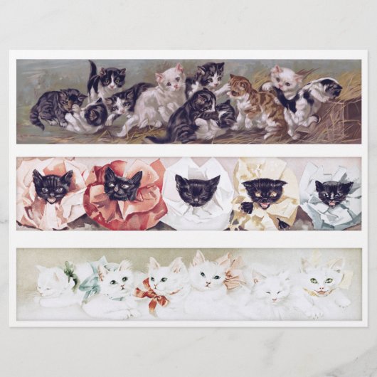 本物のビクトリア時代の猫のイラスト(AIではありません) (正面)