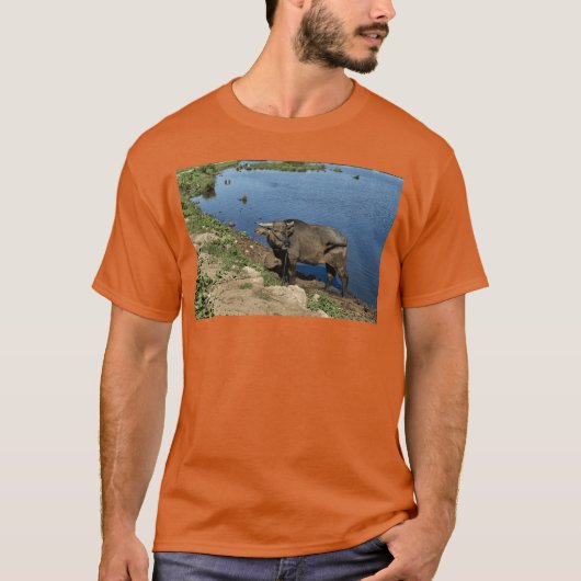本物のベトナムの水牛と水田 Tシャツ (正面)