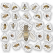 本物のミツバチが2ダース シール (正面)
