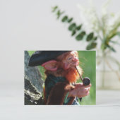 本物のレプラコーン ポストカード (スタンド正面)