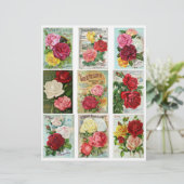 本物のヴィンテージ花種子カタログカバー (スタンド正面)