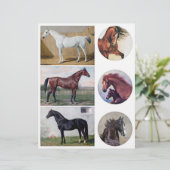 本物のヴィンテージ（AIではない）馬画 (スタンド正面)