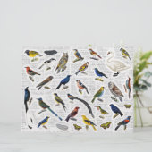 本物のヴィンテージ（AIなし）鳥のNewsprint Backgrd (スタンド正面)