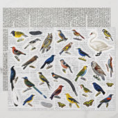本物のヴィンテージ（AIなし）鳥のNewsprint Backgrd (正面/裏面)