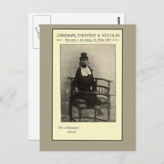 本物の奇妙さ – スーツを着たサル ポストカード (正面/裏面)