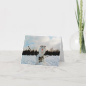 本物の雪だるまと冬の風景の写真　お祭り気分 カード (正面)