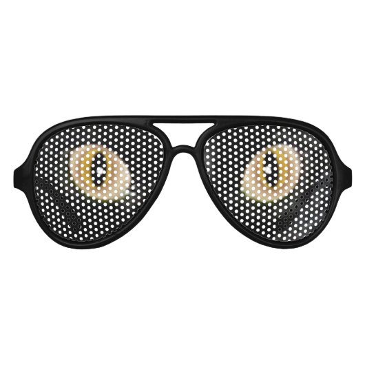 本物の黒猫の目 アビエーターサングラス (正面)