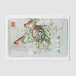 本物の（AIでない）ビクトリア時代の鳥のコラージュ 薄葉紙