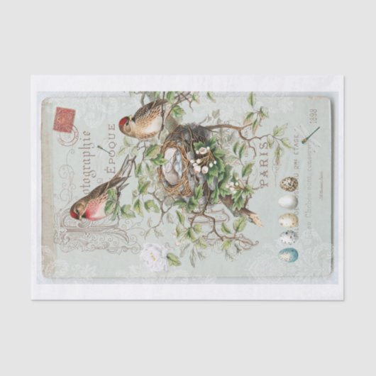本物の（AIでない）ビクトリア時代の鳥のコラージュ 薄葉紙 (正面)