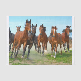 本物の（AIではない）の馬走のギャロピング画像 薄葉紙