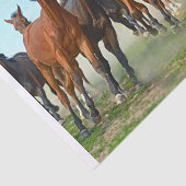 本物の（AIではない）の馬走のギャロピング画像 薄葉紙 (詳細)