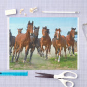 本物の（AIではない）の馬走のギャロピング画像 薄葉紙 (クラフト)