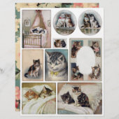 本物の（AIではない）ヘレナのマグワイアヴィンテージ猫 (正面/裏面)