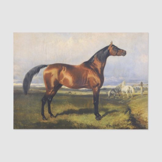 本物の（AIではない）ヴィンテージウマ絵を描ーズ 薄葉紙 (正面)