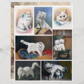 本物の(AIではない)ヴィンテージ白猫の絵画 (正面/裏面)