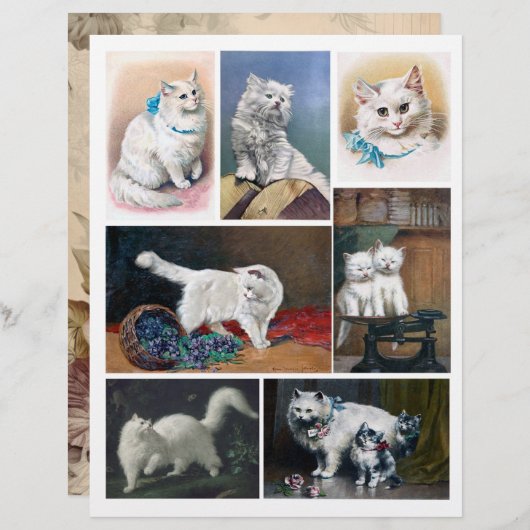 本物の(AIではない)ヴィンテージ白猫の絵画 (正面/裏面)