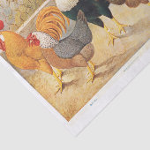 本物の（AIではない）鶏と鶏の鶏 薄葉紙 (詳細)