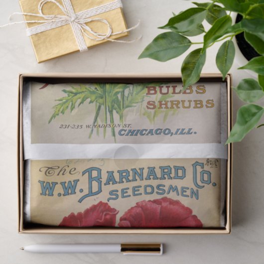 本物 (AIでない) 1913年の種のカタログ表紙- ポピー 薄葉紙 (ギフト)