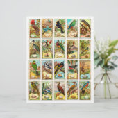 本物(AIではない)のヴィンテージバードトレーディングカード (スタンド正面)