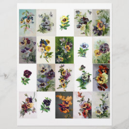 本物（AIではない）のヴィンテージビクトリアン時代パンジー