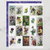 本物(AIではない)のヴィンテージビクトリアン時代パンジー (正面/裏面)