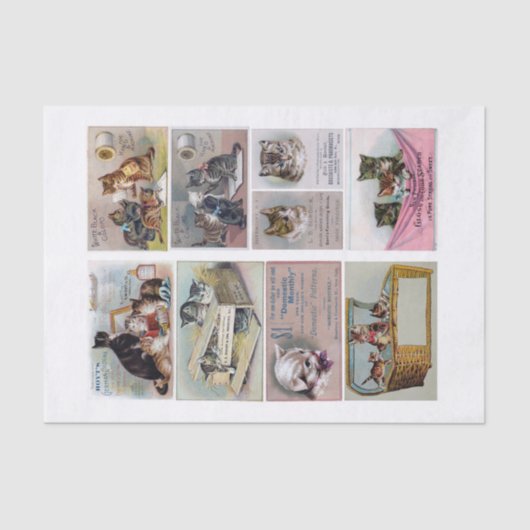 本物（AIではない）のヴィンテージ猫をテーマにしたトレードカード 薄葉紙 (正面)