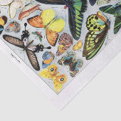 本物（AIではない）のヴィンテージ蝶チャート 薄葉紙 (詳細)