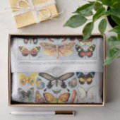 本物（AIではない）のヴィンテージ蝶チャート 薄葉紙 (ギフト)