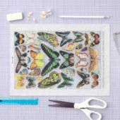 本物（AIではない）のヴィンテージ蝶チャート 薄葉紙 (クラフト)