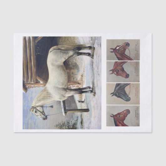 本物（AIではない）のヴィンテージ馬画 薄葉紙 (正面)