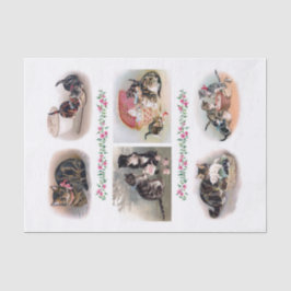 本物（AIではない）のヴィンテージH.マグワイア（1860年～1909年） 薄葉紙