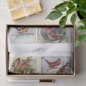 本物（AIではない）ロビンバードエフエマラFussyカット 薄葉紙 (ギフト)