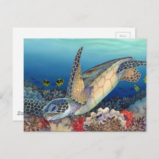 本生 ポストカード (正面/裏面)