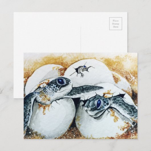 本羽孵化卵 ポストカード (正面/裏面)