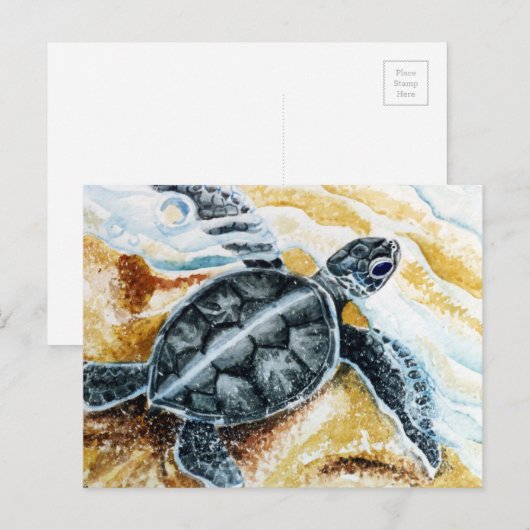 本羽孵化 ポストカード (正面/裏面)