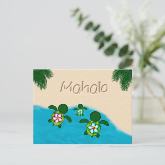 本羽男の赤ちゃんウミガメありがとうボーイズブルー#281 ポストカード (スタンド正面)