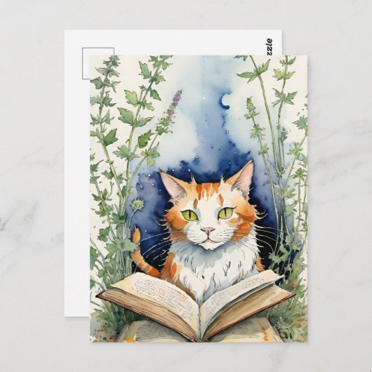 本読のオレンジ猫 ポストカード (正面/裏面)