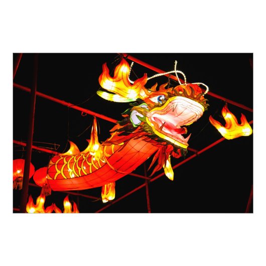 朱龍 フォトプリント            (正面)