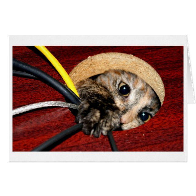 机のニンフ (正面横)