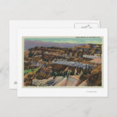 杉の破断図 ポストカード (正面/裏面)