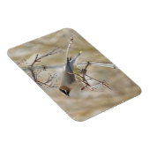 杉ロウ付け磁石 マグネット (右側)