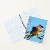 杉羽 ノートブック (内部)