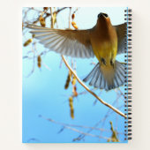 杉羽 ノートブック (裏面)