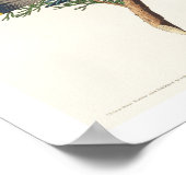 杉鳥byオードボンポスター ポスター (角)