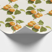 杏子のプリント ラッピングペーパー (角)