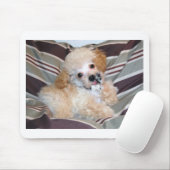 杏子のプードルの子犬の話す振ること マウスパッド (マウス)