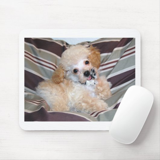 杏子のプードルの子犬の話す振ること マウスパッド (マウス)