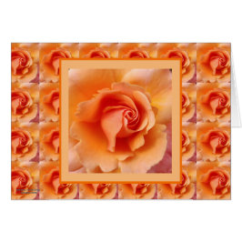 杏子のモモの写真の上のばら色の花の終わり