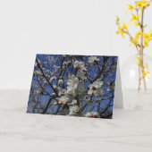 杏子の花 カード (黄色い花)