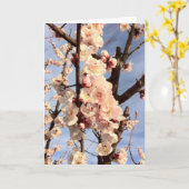 杏子の花 カード (黄色い花)